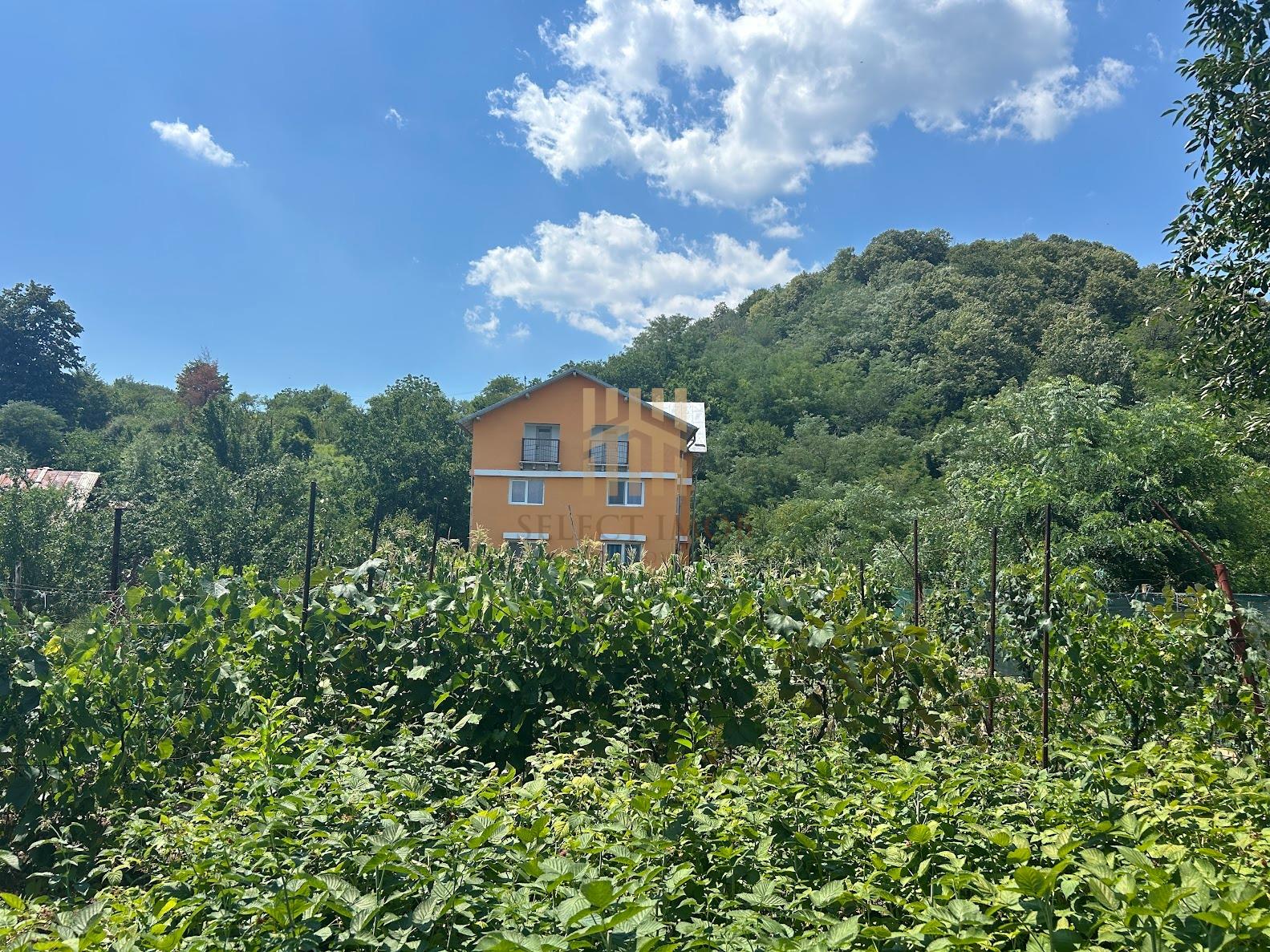 Casa de la Filipesti